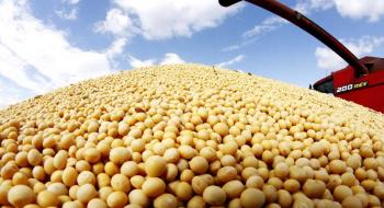 ЄС збере найбільший урожай сої за останні 6 років, - огляд іноземних ЗМІ 27-28.06.2023 Рис.1