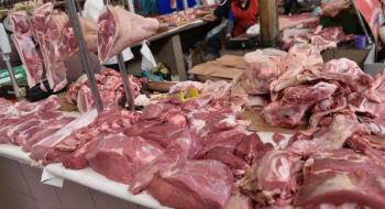 Закупівельні ціни на свинину знизились на 3% Рис.1