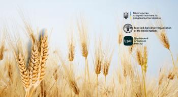 ФАО надасть насіння зернових для підтримки фермерів під час осінньої посівної кампанії Рис.1