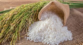 Індія запровадила заборону на експорт рису Рис.1