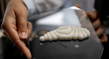 Ізраїльський стартап підписав угоду на 3D-друк риби Рис.1