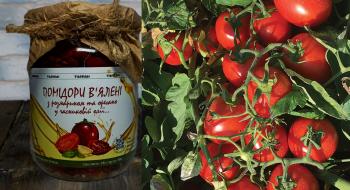 На Київщині висадили плантацію спеціального сорту помідорів для сушку та в’ялення Рис.1