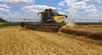 На Миколаївщині зібрали 7 т/га пшениці з експериментального поля Рис.1