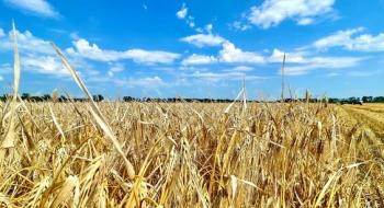 На Одещині намолотили 400 тис. тонн зерна Рис.1