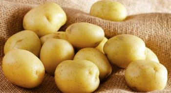 На українському ринку стрімко дешевшає картопля Рис.1