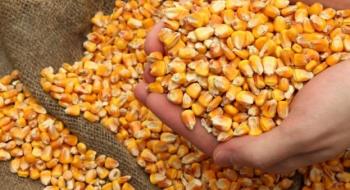 Посівні площі кукурудзи в США досягли 10-річного максимуму, оскільки фермери скорочують посіви сої, - огляд іноземних ЗМІ 3-4.07.2023 Рис.1