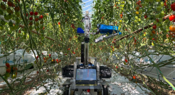Робот для збирання томатів після оновлення "у вісім разів швидший" Рис.1