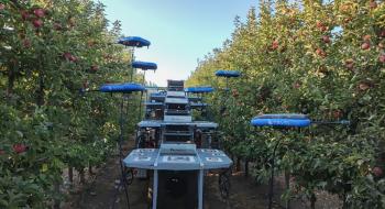 Unifrutti представляє революційних роботів-збирачів фруктів Рис.1