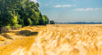 Урожайність ранніх зернових на Черкащині краща за торішню Рис.1
