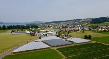 В Швейцарії Insolight тестує агровольтаїчну систему в органічному малиновому саду Рис.1