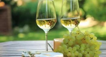 В Україні цьогоріч з'являться 10 нових крафтових виробників вина Рис.1