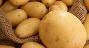 В Україні спостерігається зниження цін на картоплю нового врожаю Рис.1