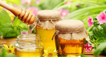Втрата бджіл може призвести до дефіциту меду та появи підробок — пасічник Рис.1
