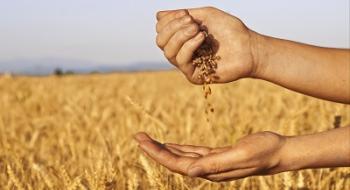 Жнива-2023: намолочено вже два мільйони тонн зерна Рис.1