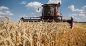 Cygnet закінчила збір озимої пшениці з рекордом Рис.1