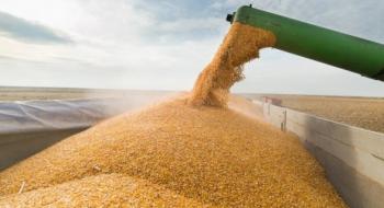 Експорт пшениці з ЄС за перший місяць нового сезону впав на 16%, - огляд іноземних ЗМІ 8-9.08.2023 Рис.1
