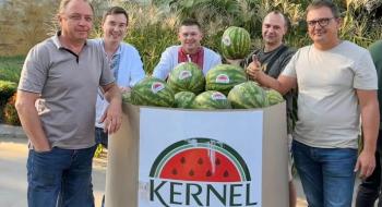Компанія Kernel зібрала врожай кавунів Рис.1