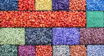 Нехтування протруєнням насіння призводить до втрати третини врожаю Рис.1