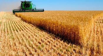 Прогноз виробництва пшениці для України підвищено Рис.1