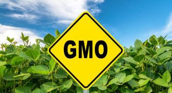 Рада прийняла законопроєкт про ГМО Рис.1
