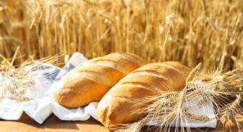 У Тунісі спостерігається дефіцит субсидованого хліба, - огляд іноземних ЗМІ 5-7.08.2023 Рис.1