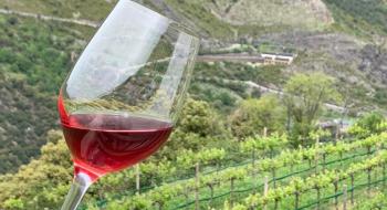 Україна на 28-му місці у світі з виробництва вина Рис.1