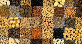 Уряд спростив ввезення в Україну незареєстрованих сортів рослин Рис.1