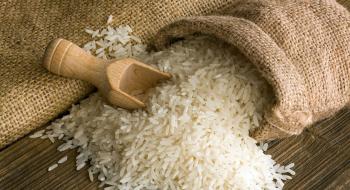 Виробництво рису – найбільш постраждала галузь рослинництва через російську агресію Рис.1