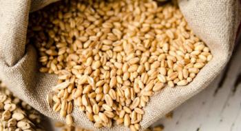 Високопротеїнова пшениця цьогоріч буде в дефіциті — аналітики Рис.1