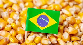 Бразилія стає найбільшим експортером кукурудзи у світі Рис.1