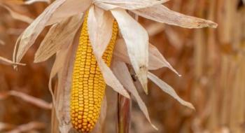 Corteva Agriscience розширює насіннєвий портфель заради підтримки українських фермерів Рис.1