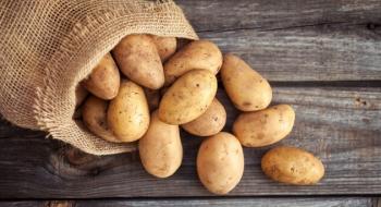 Дослідження відкривають шлях до більш ефективного вирощування картоплі Рис.1