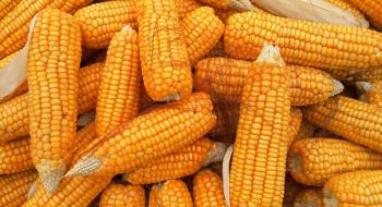 На тлі зниження попиту ціни на кукурудзу впали до 3-річного мінімуму Рис.1