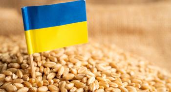 Після тестування системи контролю імпорту українського зерна Словаччина буде готова скасувати заборону Рис.1