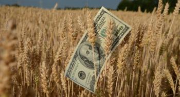 Продажі пшениці в Аргентині уповільнилися, фермери чекають виборів, - огляд іноземних ЗМІ 21-22.09.2023 Рис.1