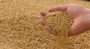 Прогнози аналітиків щодо урожаю пшениці в Австралії перевищують офіційні оцінки Рис.1
