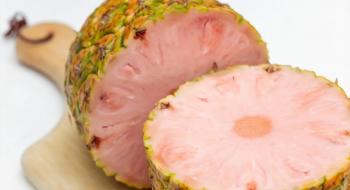  У Коста-Ріці виростили неймовірний ананас рожевого кольору Рис.1