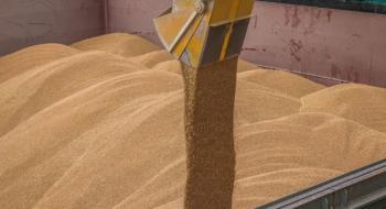 Україна відправить 20 тис. тонн пшениці в країни Азії та Африки Рис.1