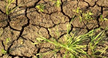 В Україні посилюється ґрунтова засуха Рис.1