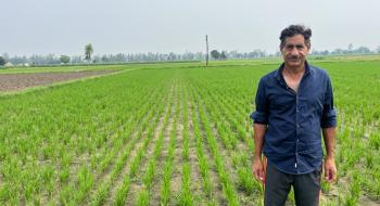 Bayer представляє сільськогосподарську систему вирощування рису прямого посіву. Рис.1