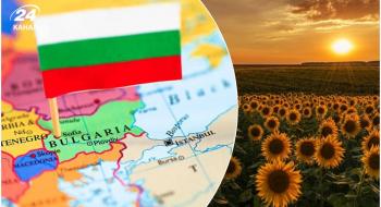 Болгарія заборонила імпорт соняшника з України до кінця листопада Рис.1