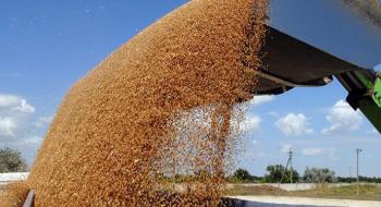 Експорт українського зерна наближається до 7 млн т Рис.1
