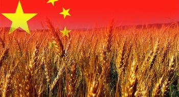 Китай цьогоріч планує зібрати рекордний урожай зерна Рис.1