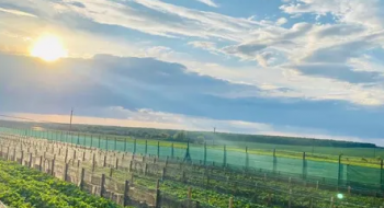 На Рівненщині равликову ферму продають за 5,5 млн грн Рис.1