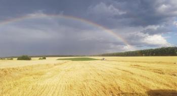 Прогноз урожаю зернових у ЄС погіршили через посуху Рис.1