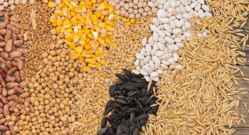 Пшениця, кукурудза та соя дорожчають через конфлікт на Близькому Сході, - огляд іноземних ЗМІ 8-10.10.2023 Рис.1
