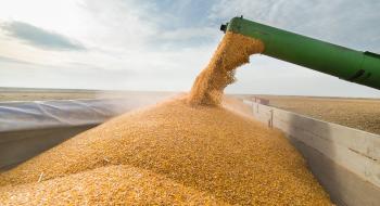 В Україні процвітає чорний експорт зерна Рис.1