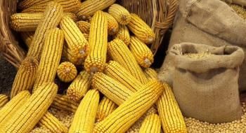 Ціни на кукурудзу в портах досягли тимчасового максимуму Рис.1