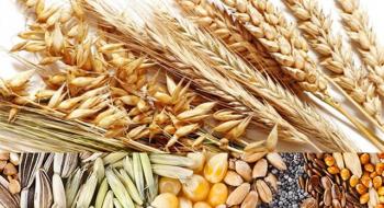 Фермери України отримають фінансову допомогу для запровадження системи бережливого виробництва Рис.1