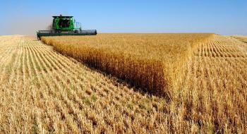 Хмельниччина лідирує за урожайністю зернових в Україні Рис.1